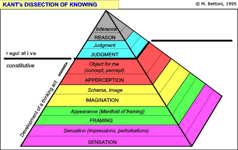 dissection of knowing.jpg (40665 Byte)